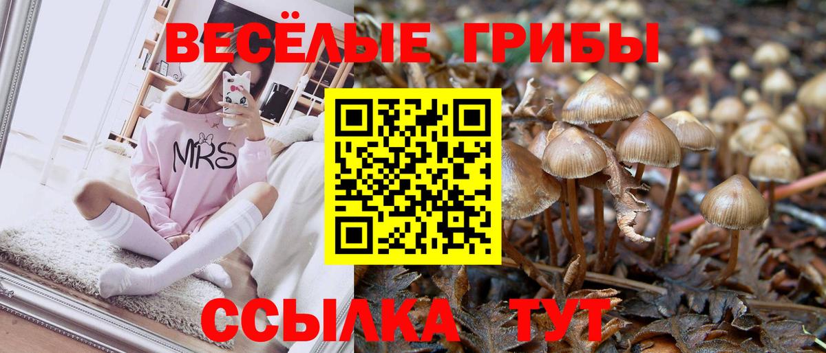 Псилоцибиновые грибы прущие грибы Кизилюрт