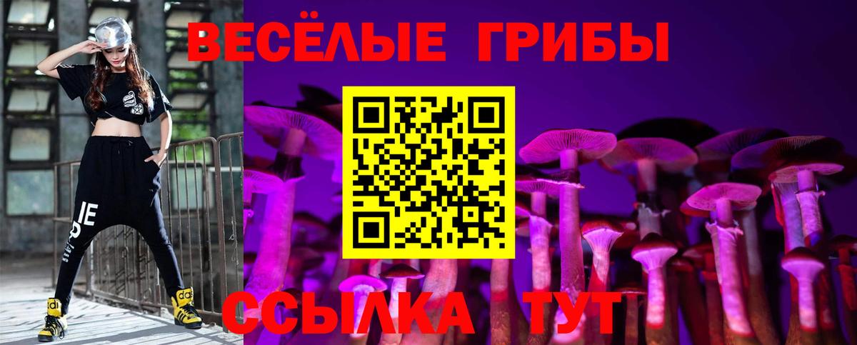 Кизилюрт  Псилоцибиновые грибы Psilocybe  Галлюциногенные грибы мицелий  Вход с VPN 